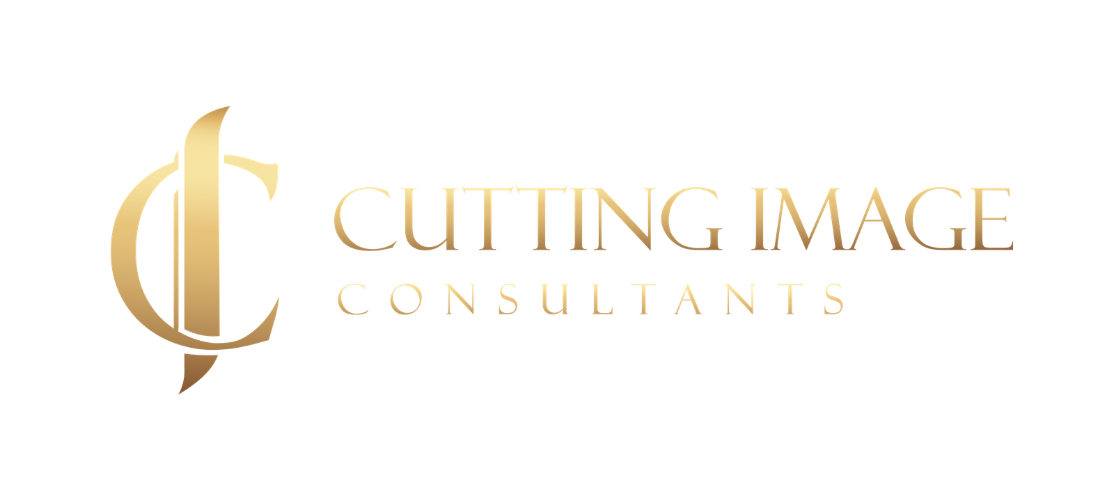 ciconsultants.rockdidit.com